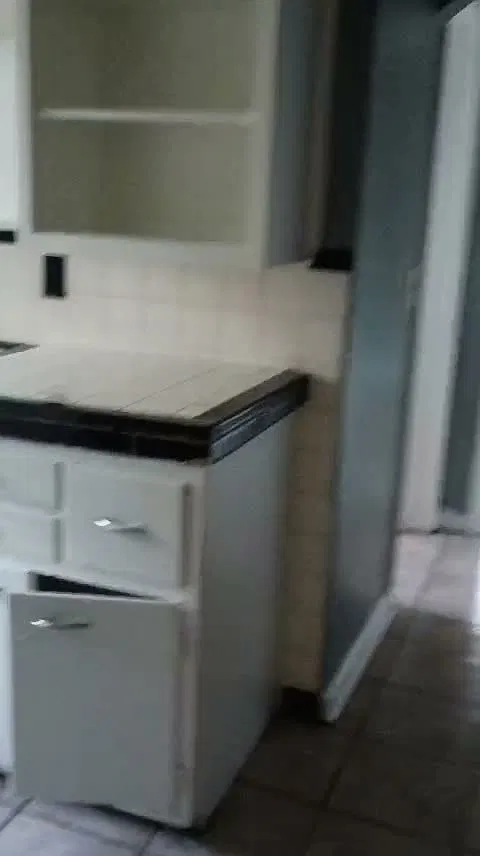 1 bed, $950 — Photo 3