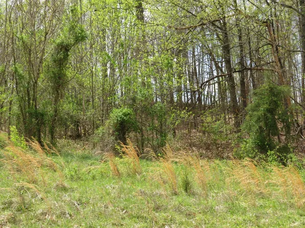 LOT Sixty Cornfield Ln, Appomattox, VA 24522
