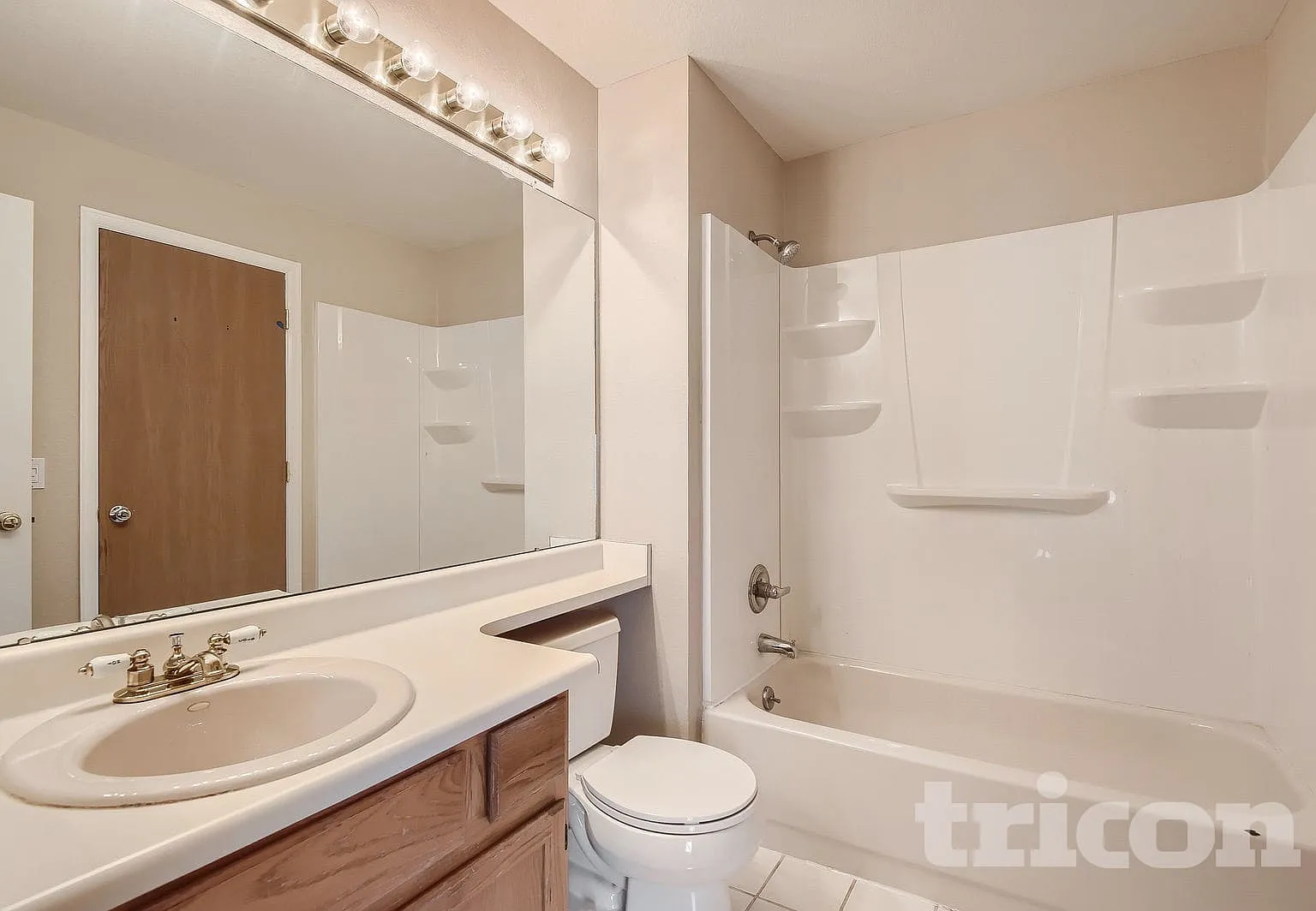 8381 White Cloud St Highlands Ranch CO — Photo 3
