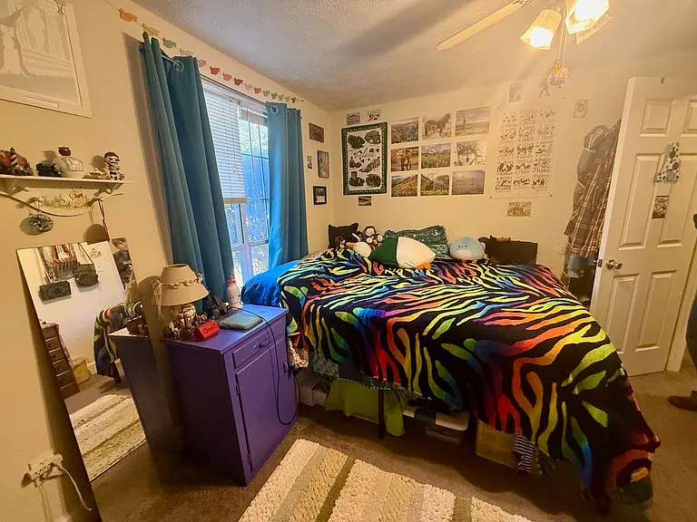 115 Knob Lick Dr — Photo 11