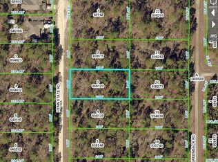 16462 Penn State Rd, Weeki Wachee, FL 34614