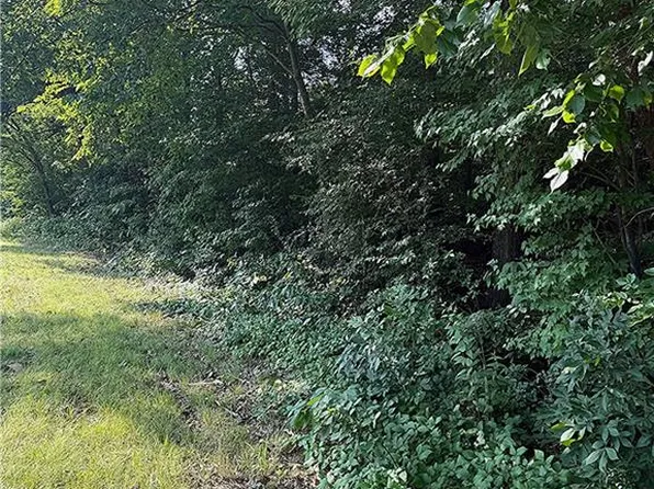 0 W Us Highway 64, Trinity, NC 27370
