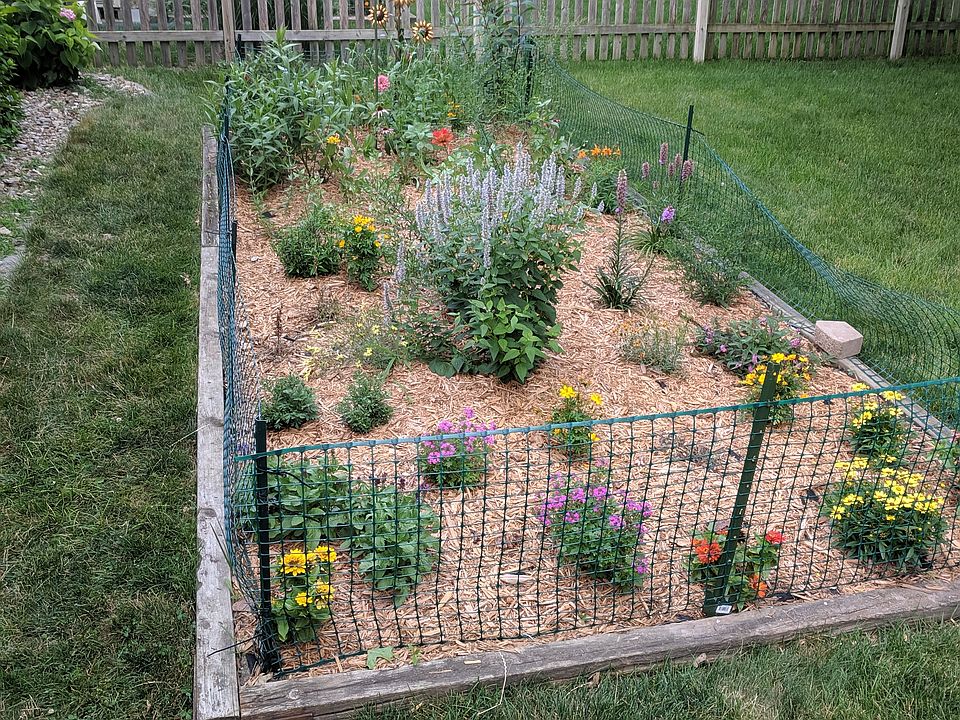 fenced yard with mature oaks
