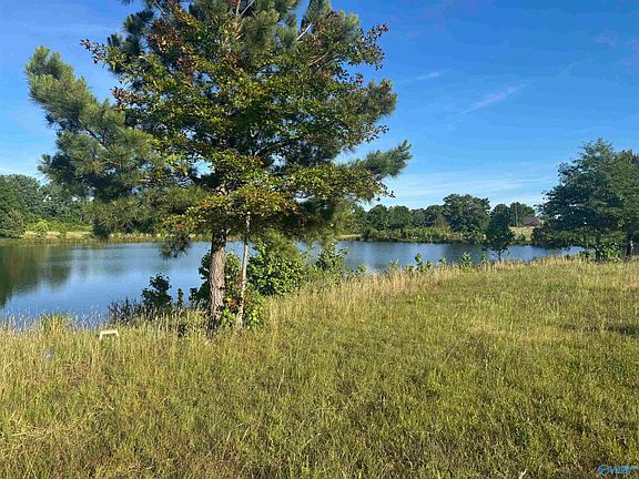 2nd image of 645 County Road 487