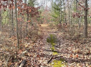 Tahoe Ln, Indian River, MI 49749