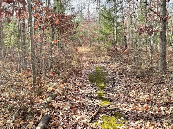 Tahoe Ln, Indian River, MI 49749