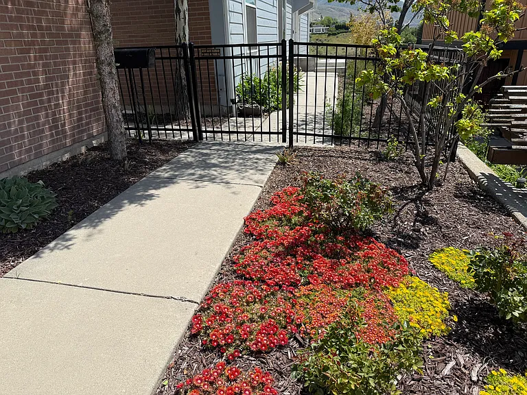 Yard south of garage