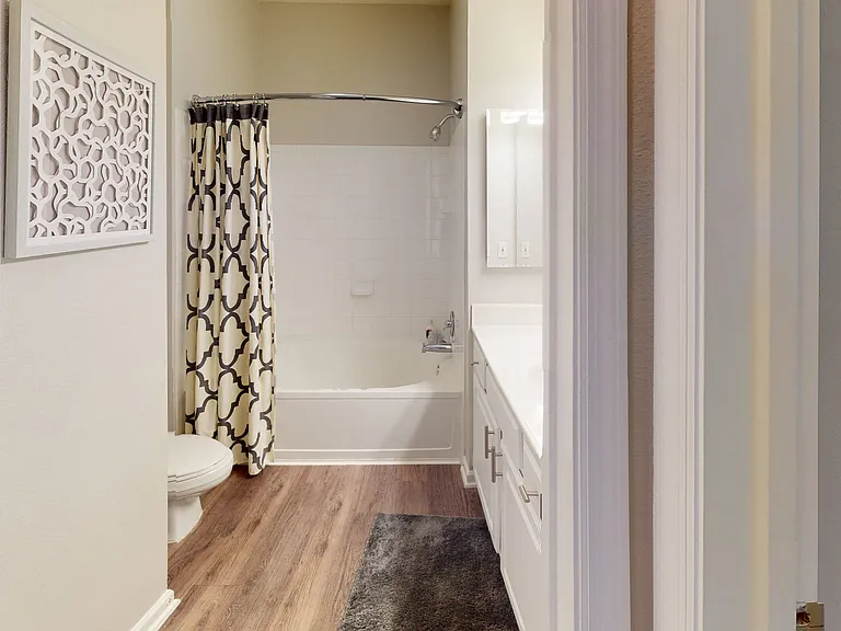 17220 Heart Of Palms Dr — Photo 14