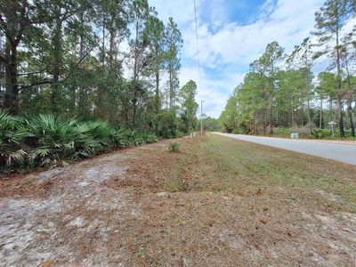 159 Lakeway Dr, Georgetown, FL, 32139