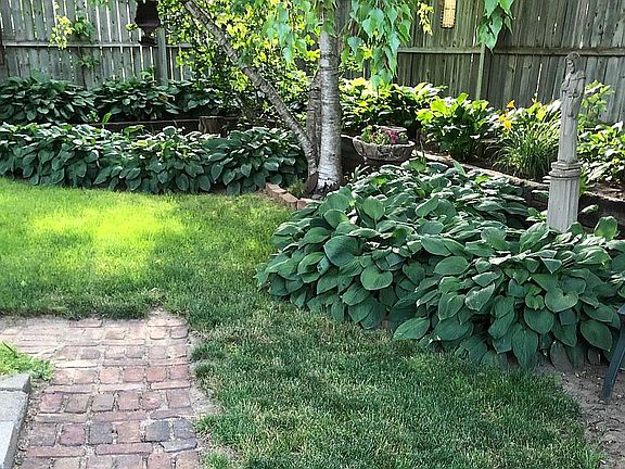 Backyard-Hostas and flowers 