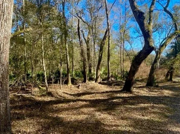 8117 SW County Road 344, Bell, FL 32619