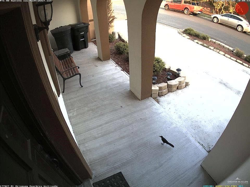 608 Jonquil Ave, Mcallen, TX 78501 Zillow