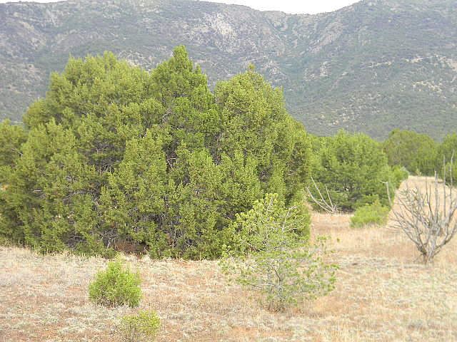 2nd image of Galilee Subdivision