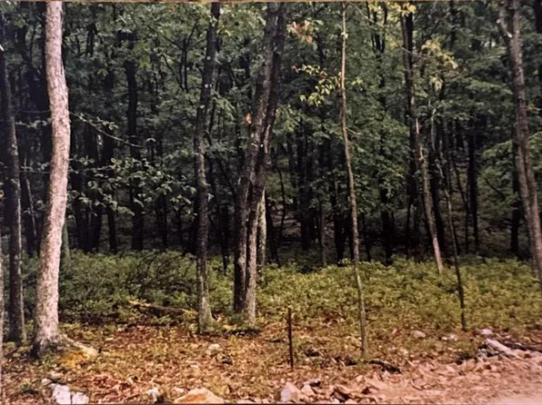 135 & 136 Corn Silk Ave, Hazleton, PA 18202