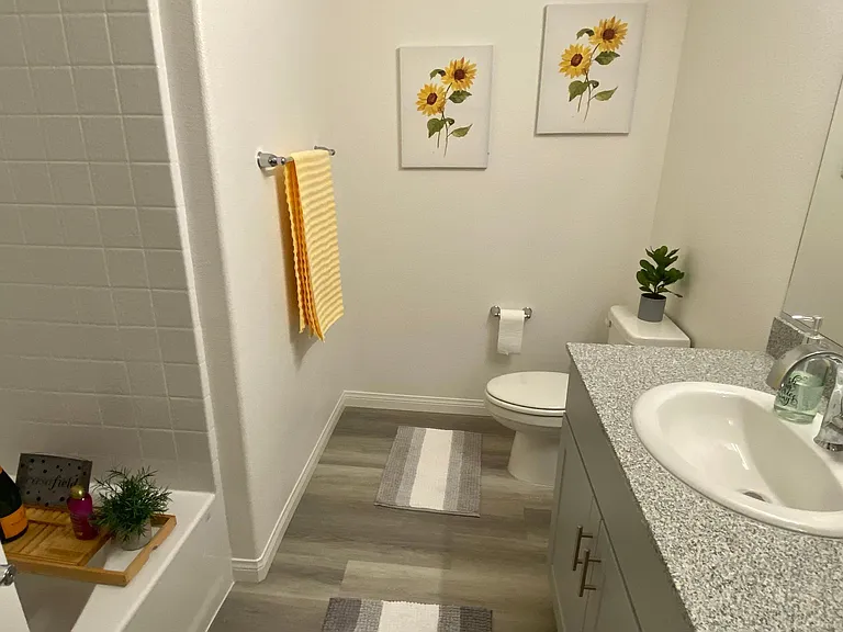 2828 Mosaic Moon Ln — Photo 36