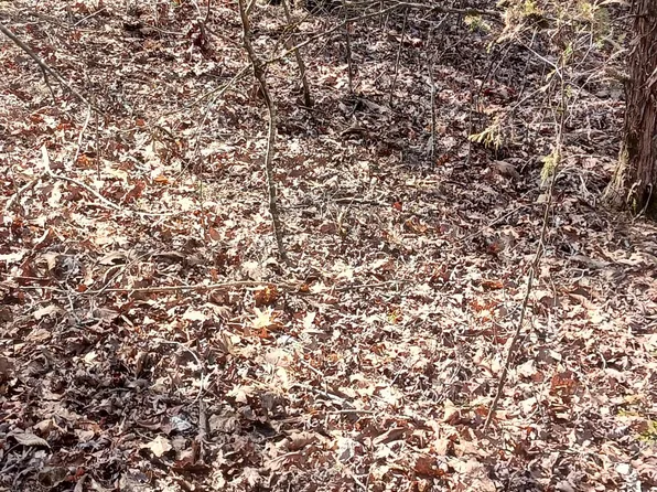 Lot 26 Crestview Drive, Theodosia, MO 65761