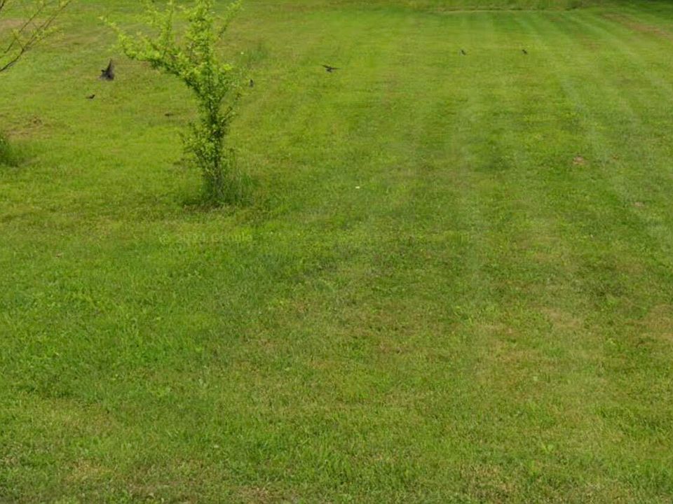 1st image of Laurel Ln