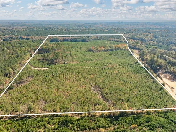 0 Lum Fife Rd, Gordo, AL 35466