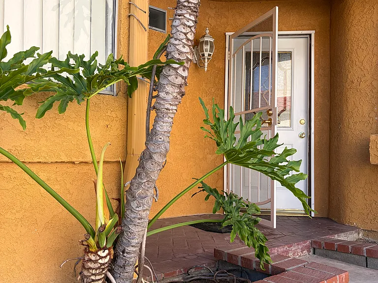 2552 Cottonwood Trl — Photo 2