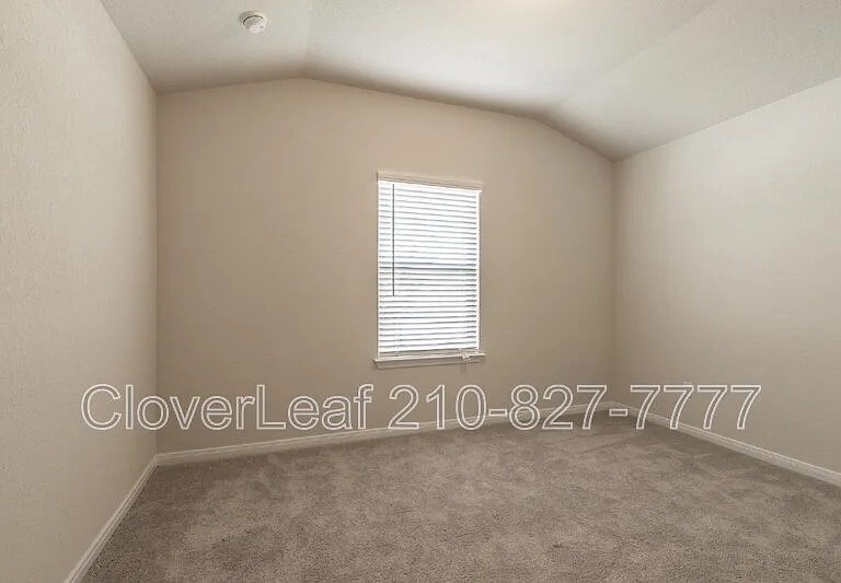 312 Shelton Pass — Photo 28