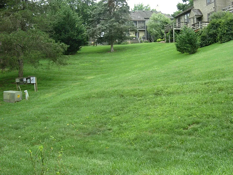 hilly scenic back yard