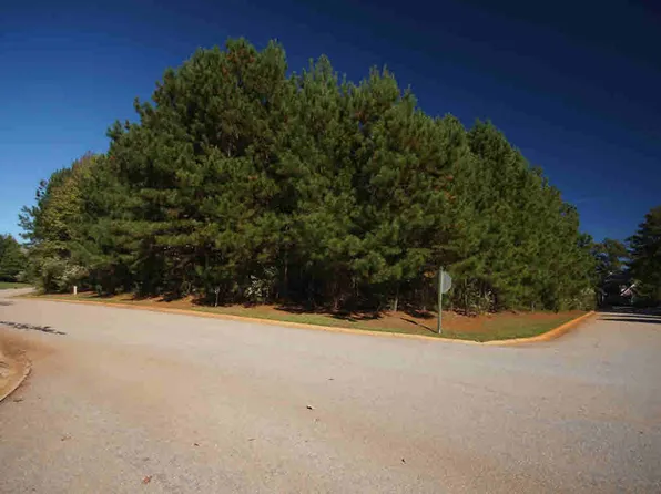 349 Lake Estate Dr, Chapin, SC 29036