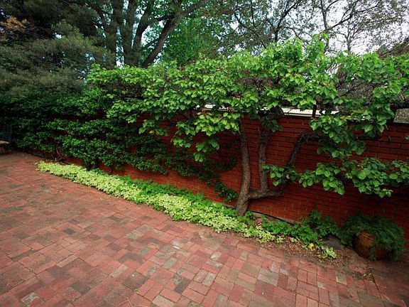 "The Ingraham's intention was to create an outdoor museum..."