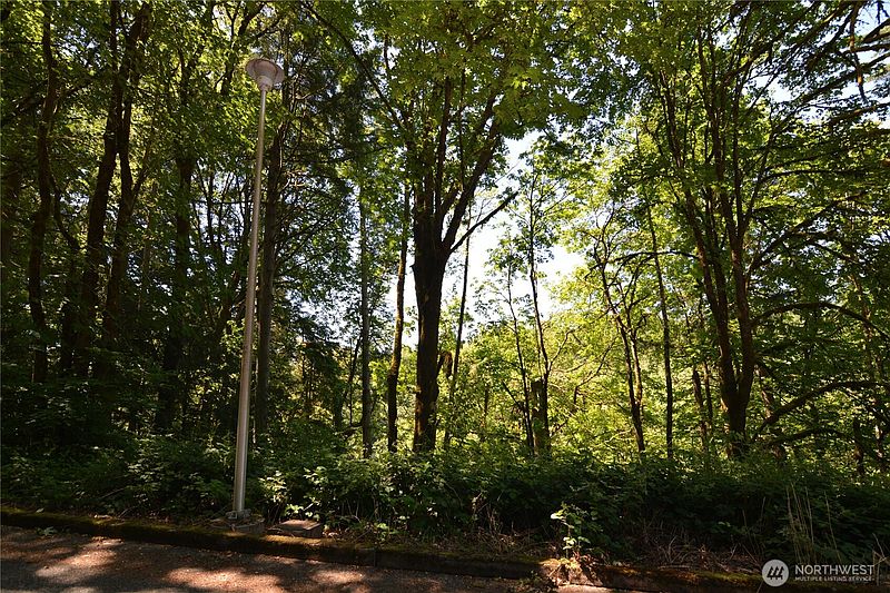 5th image of 2429 Archwood Drive