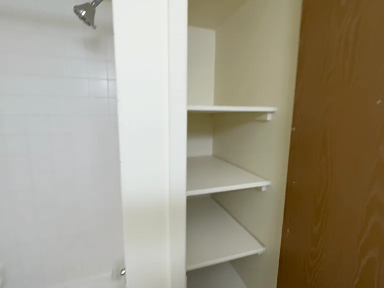 Lakeside Village Apartments — Photo 133