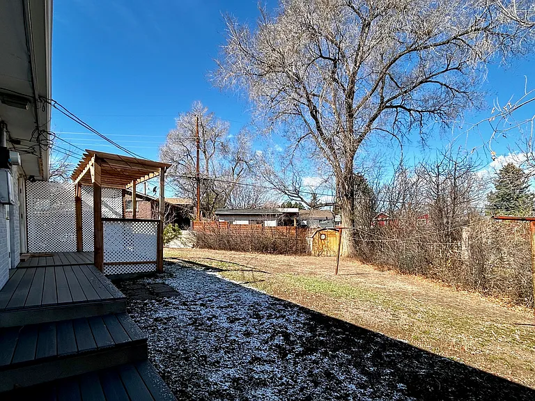 backyard