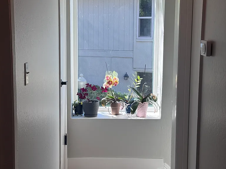 Large windows let in great light