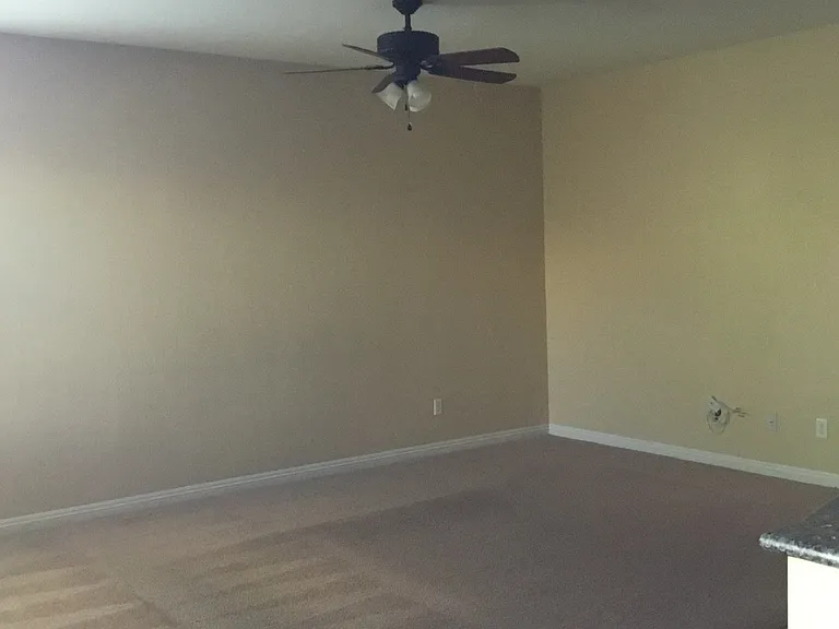 8105 Tazeer St — Photo 6