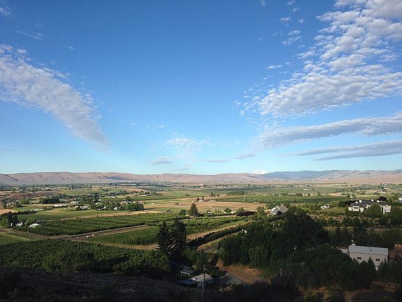 Mt. Adams in the distance.