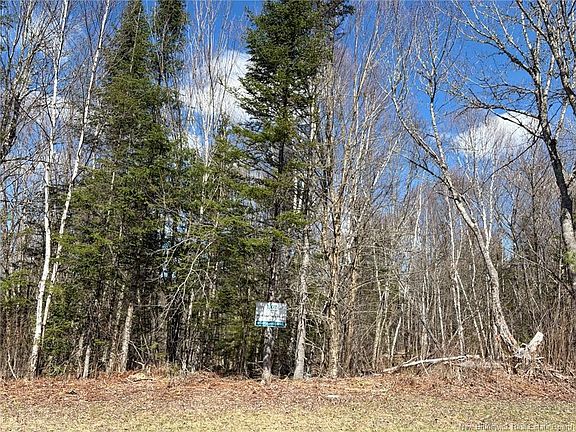 3rd image of 1 Reardon Rd #0
