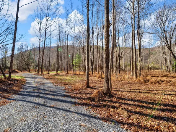 Tbd McInturff Springs Rd, Erwin, TN 37650