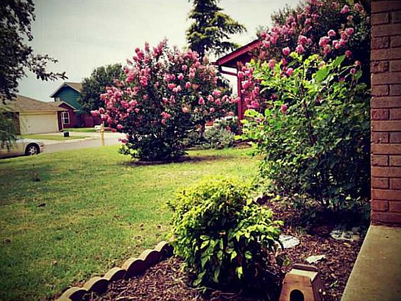 Trees, Crape Myrtles, well cared for yard.