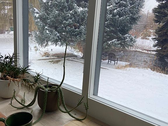 A view of the backyard from the living room.