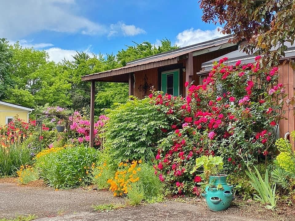 Spring/Summer View