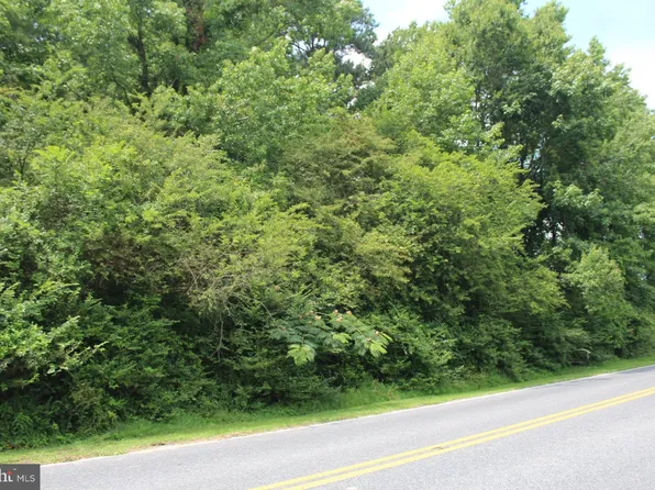 PARCEL 167 Cedar Hall Rd, Pocomoke City, MD 21851