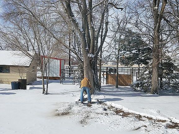 Sheds and corral in snow