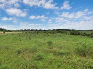 0 Jobe Wilson Rd, Anahuac, TX 77514