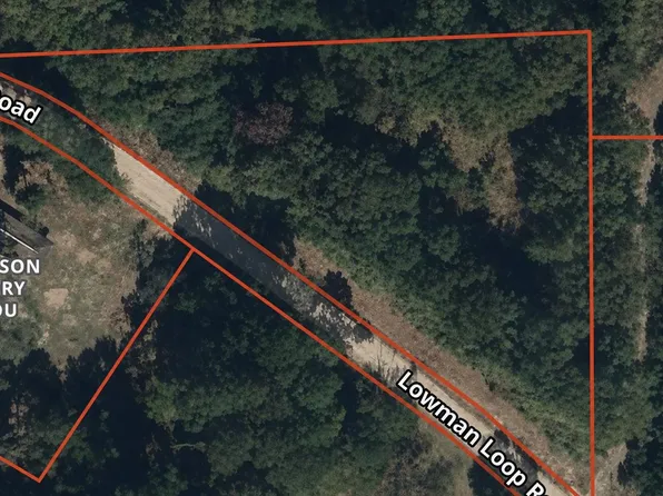 Lowman Loop, Dozier, AL 36028
