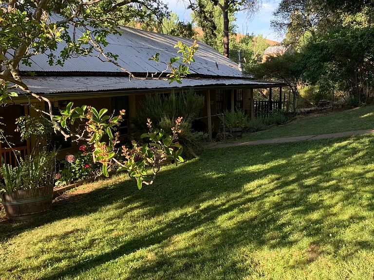 Front yard