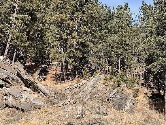 4th image of Buckhorn Estates Dr