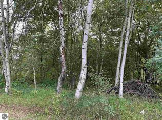 3603 Cecil Rd, Cadillac, MI 49601