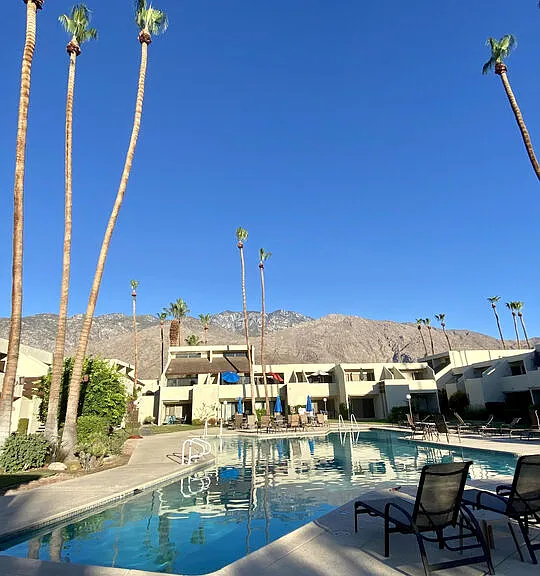 1655 E Palm Canyon Dr #318 — Photo 21