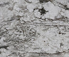 Countertop Blue Dunes Granite