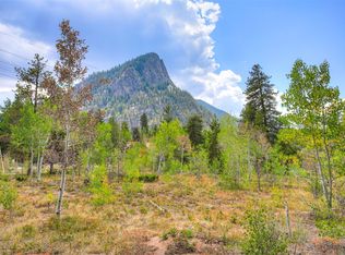 170 Willow Ln, Frisco, CO 80443