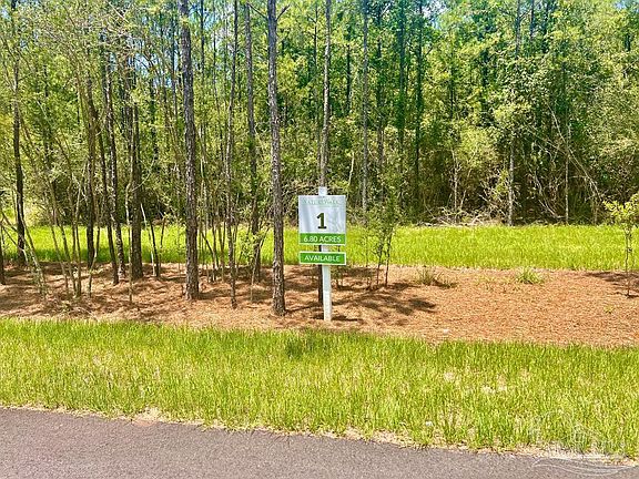 5th image of LOT 1 Naturewalk Dr
