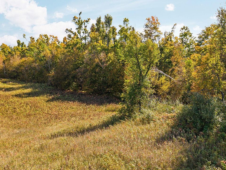 16th image of 0 Birch Run Dr